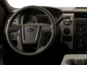 2010 Ford F-150 Platinum